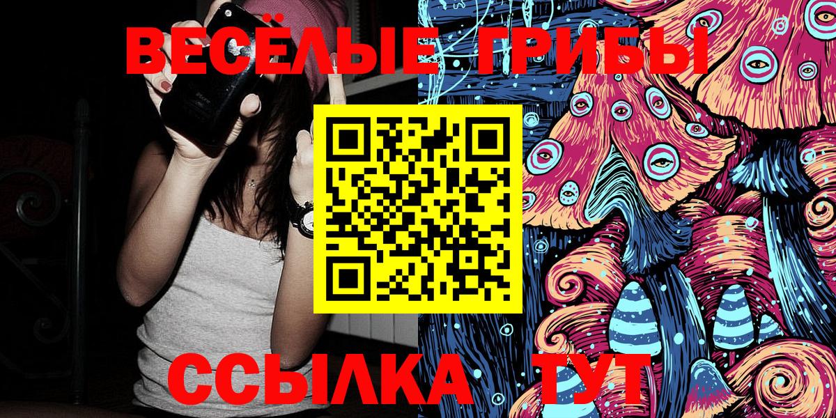 Псилоцибиновые грибы GOLDEN TEACHER  Галлюциногенные грибы Psilocybine cubensis  Улан-Удэ  Вход с VPN 