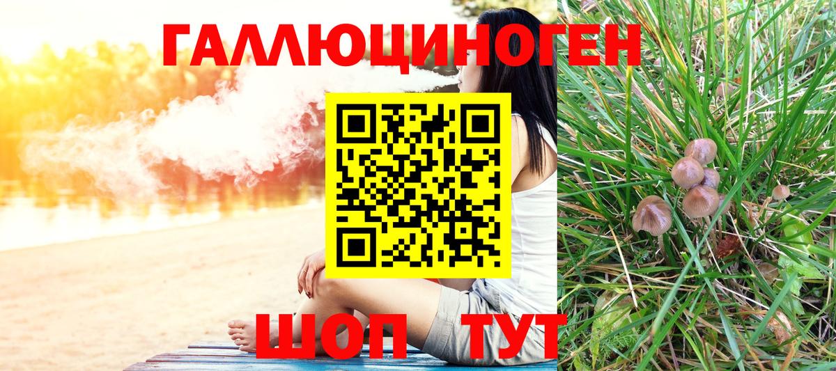 Псилоцибиновые грибы GOLDEN TEACHER Улан-Удэ